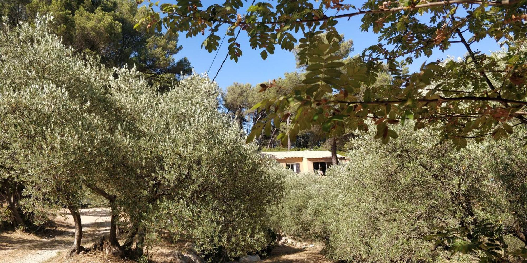 Villa Cigalons En Pleine Pinede Avec Piscine Chauffee De Mai A Septembre Auriol ภายนอก รูปภาพ