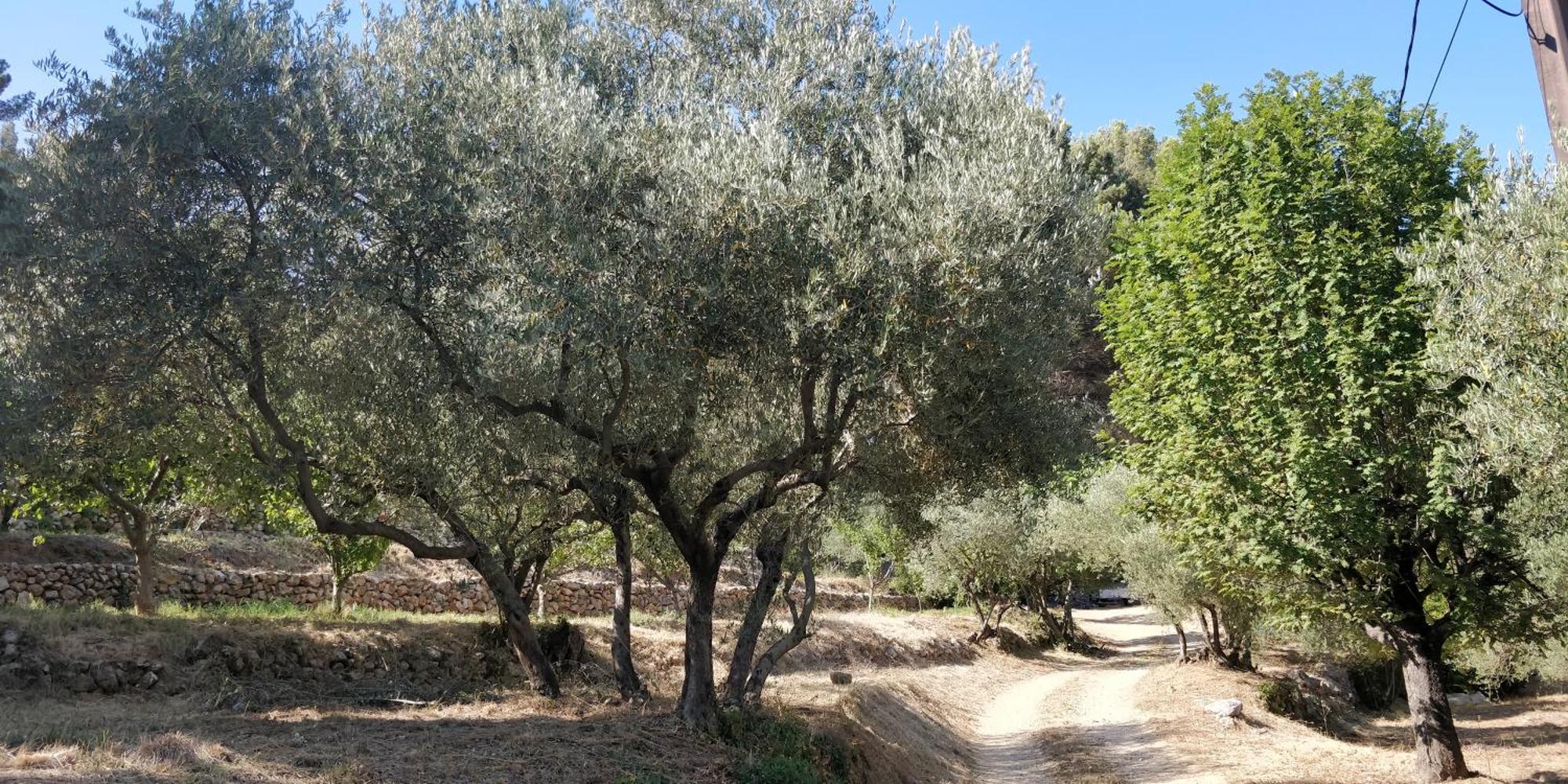 Villa Cigalons En Pleine Pinede Avec Piscine Chauffee De Mai A Septembre Auriol ภายนอก รูปภาพ