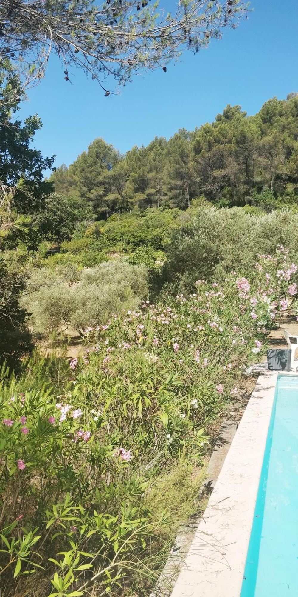 Villa Cigalons En Pleine Pinede Avec Piscine Chauffee De Mai A Septembre Auriol ภายนอก รูปภาพ