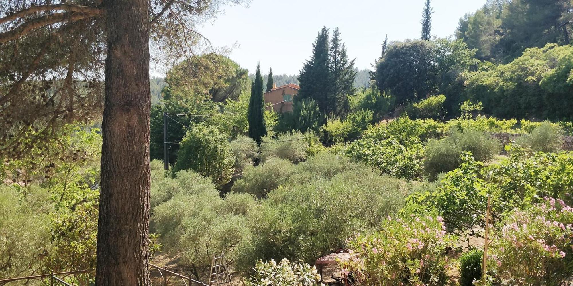 Villa Cigalons En Pleine Pinede Avec Piscine Chauffee De Mai A Septembre Auriol ภายนอก รูปภาพ