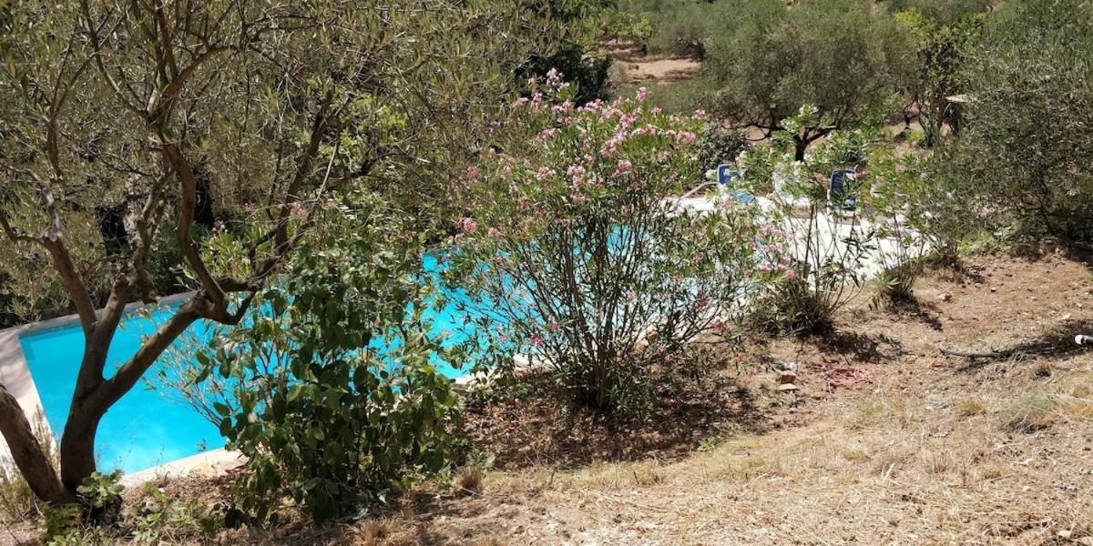 Villa Cigalons En Pleine Pinede Avec Piscine Chauffee De Mai A Septembre Auriol ภายนอก รูปภาพ