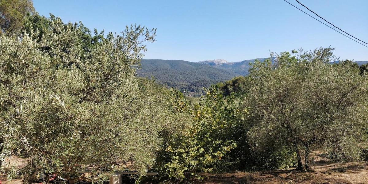 Villa Cigalons En Pleine Pinede Avec Piscine Chauffee De Mai A Septembre Auriol ภายนอก รูปภาพ