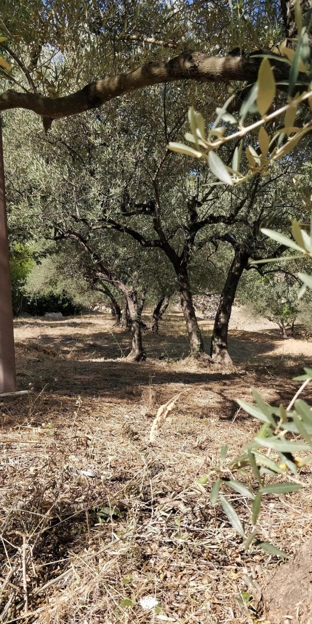 Villa Cigalons En Pleine Pinede Avec Piscine Chauffee De Mai A Septembre Auriol ภายนอก รูปภาพ